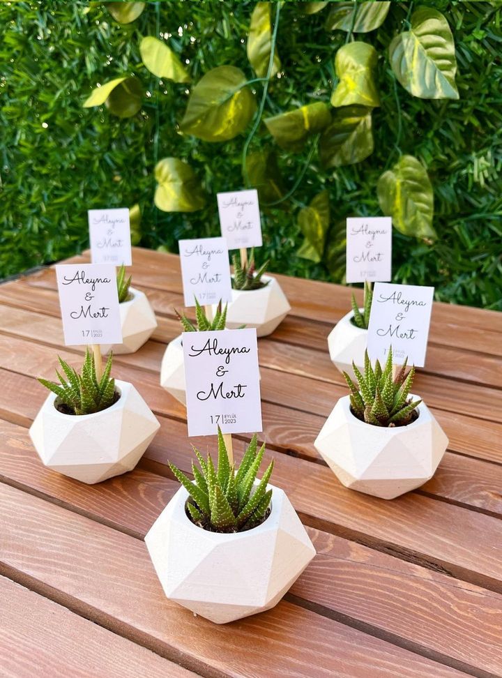 AN-2-26 Tohum/fidan Nikah Hediyelik