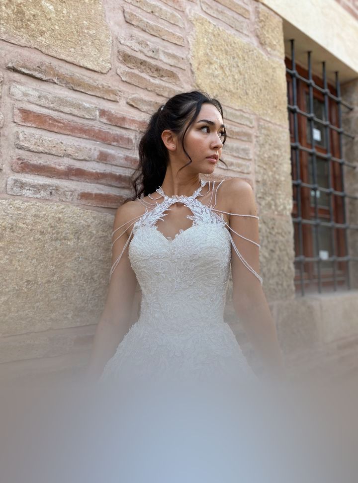 Avrupa Modaevi