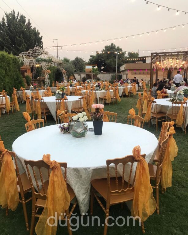 Palmiye Düğün Salonu