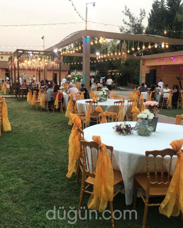 Palmiye Düğün Salonu