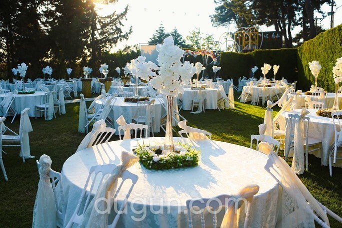 Palmiye Düğün Salonu