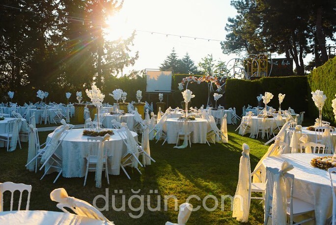 Palmiye Düğün Salonu