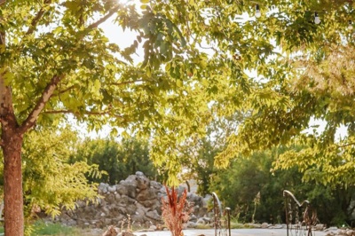 Zeytin Plato & Wedding