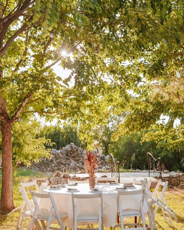 Zeytin Plato & Wedding