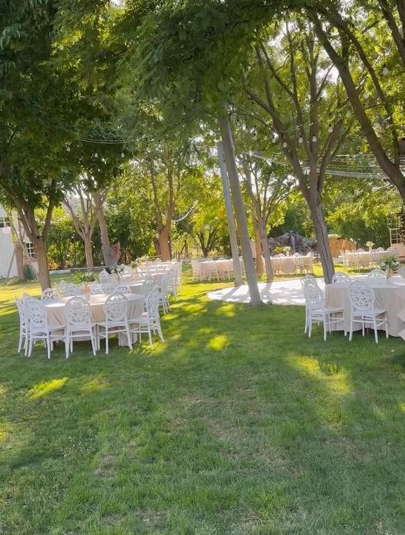 Zeytin Plato & Wedding