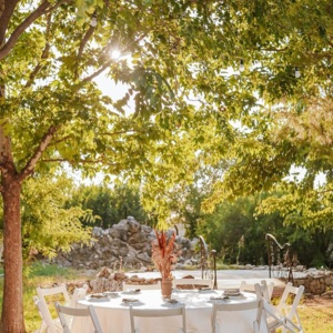 Zeytin Plato & Wedding