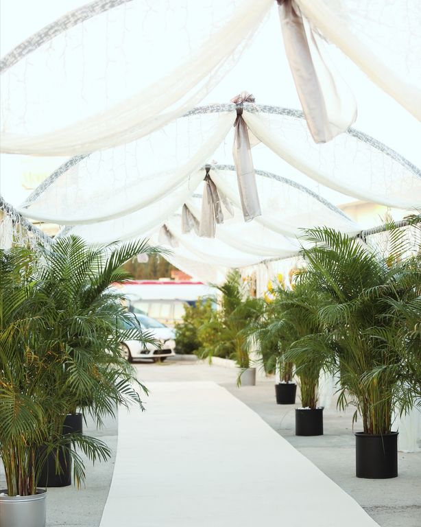 Monsera Event & Wedding