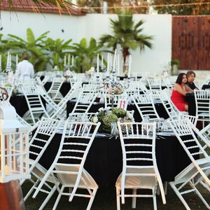 Monsera Event & Wedding