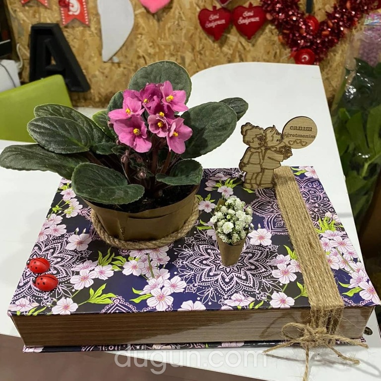 Çiçekçim Çiçekcilik