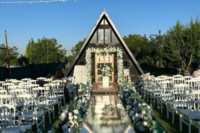 The Vine Organizasyon