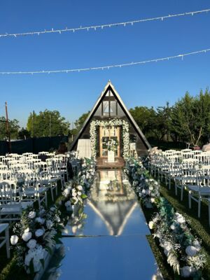 The Vine Organizasyon