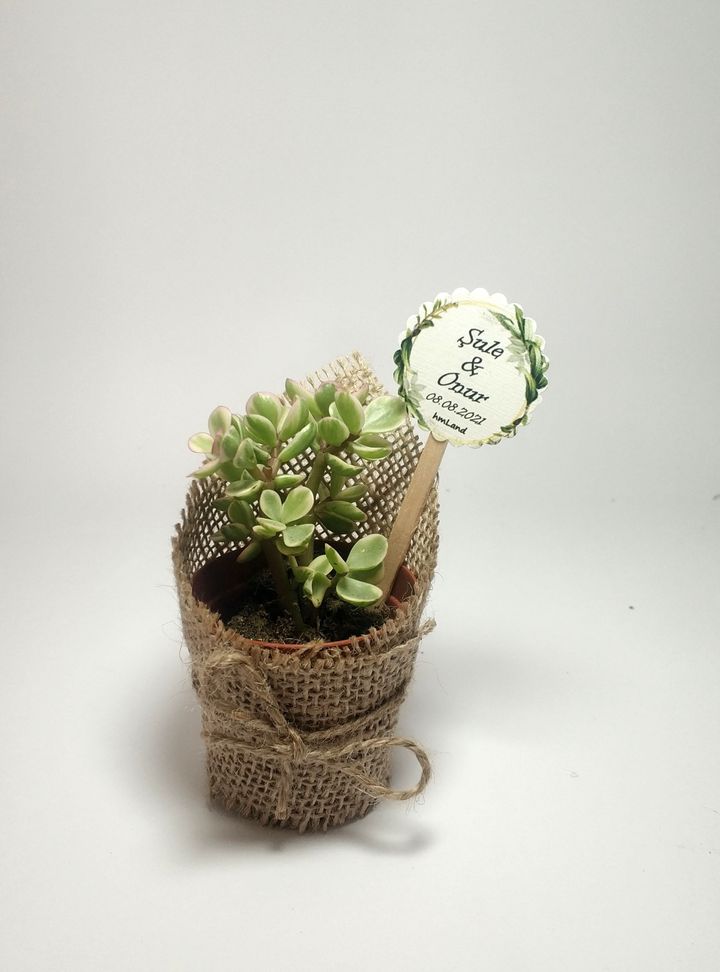 Jüt Kumaş Saksı Hediyelik-3