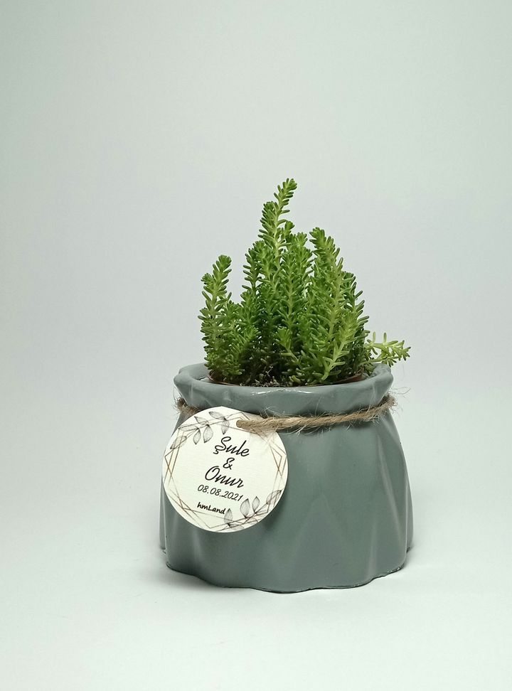 Beton Saksı Hediyelik-5 