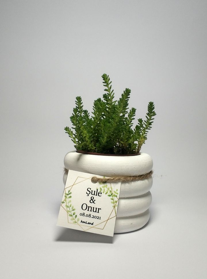 Beton Saksı Hediyelik-6 