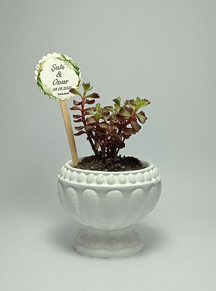 Beton Saksı Hediyelik-2