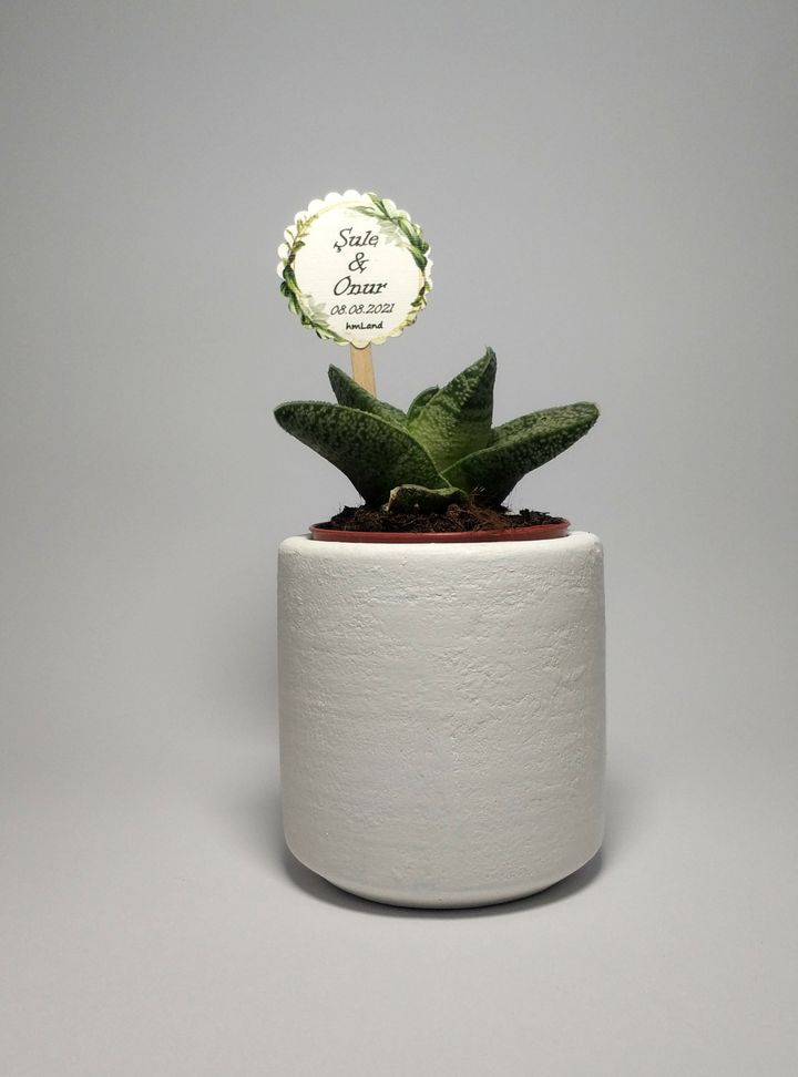 Beton Saksı Hediyelik-6