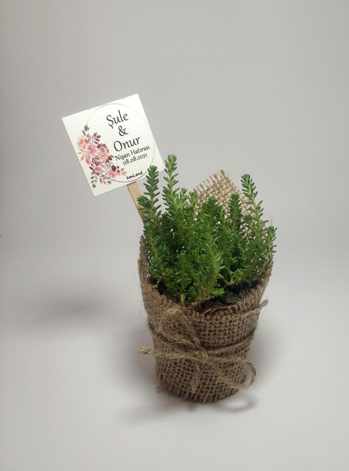 Jüt Kumaş Saksı Hediyelik-1 