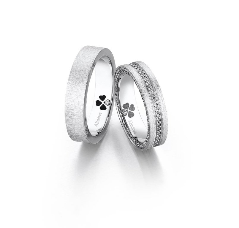 Keskin Çizgili Alyans Modeli