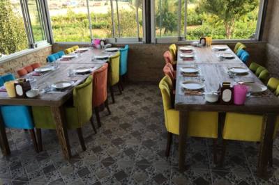 Bölme Doğal Lezzet Çiftliği