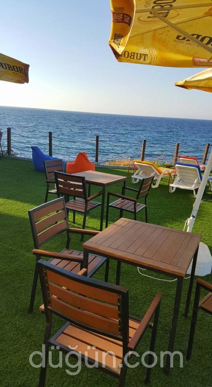 Bluesong Restaurant & Cafe & Bar