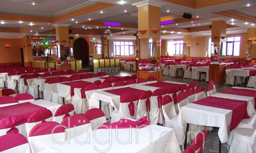 Çınarım Düğün Salonu - 61193
