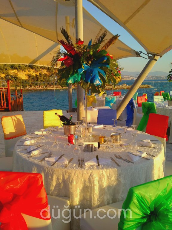 Papyon Düğün Organizasyon