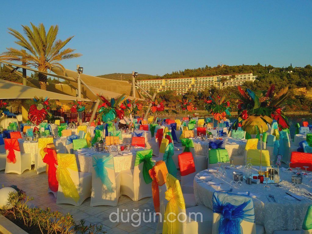 Papyon Düğün Organizasyon