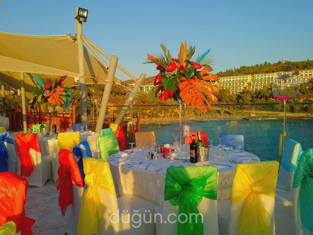 Papyon Düğün Organizasyon