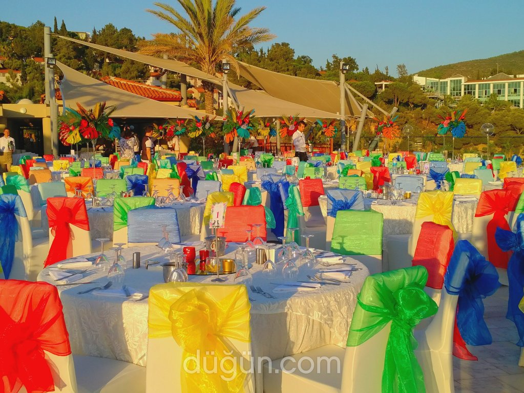 Papyon Düğün Organizasyon