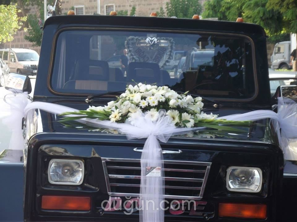 Mimoza Çiçekçilik