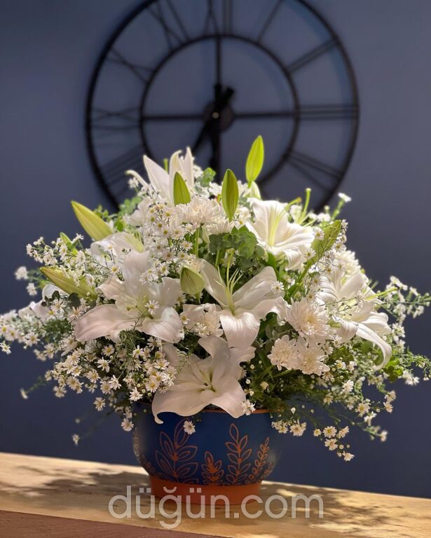 Mimoza Çiçekçilik