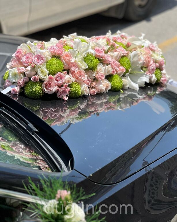 Mimoza Çiçekçilik