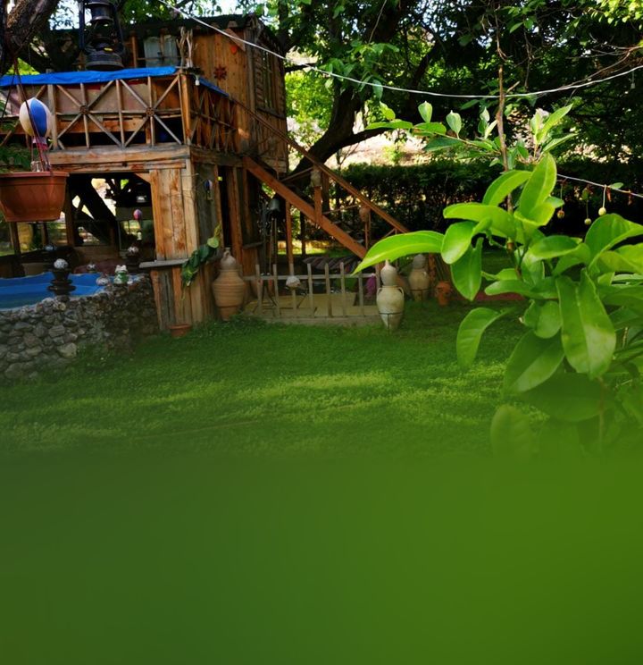 Alatav Düğün Salonu & Restaurant