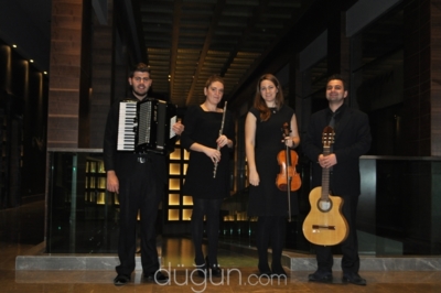 Müzikistan Organizasyon