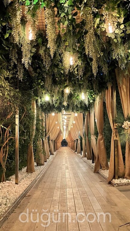 Elit Elegance Event & Wedding