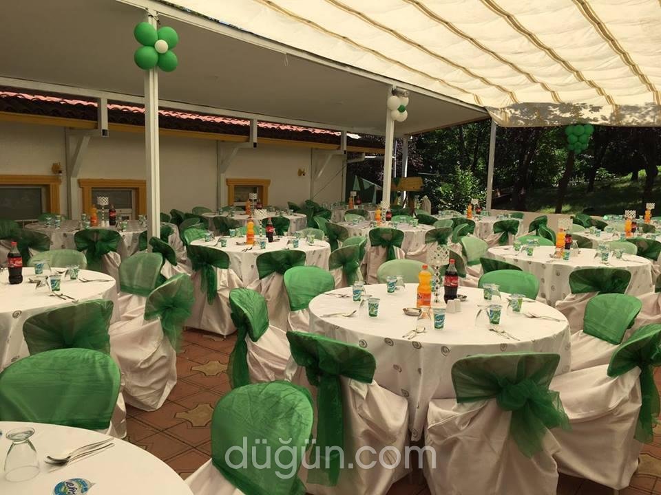 Temenyeri Kır Mekanı