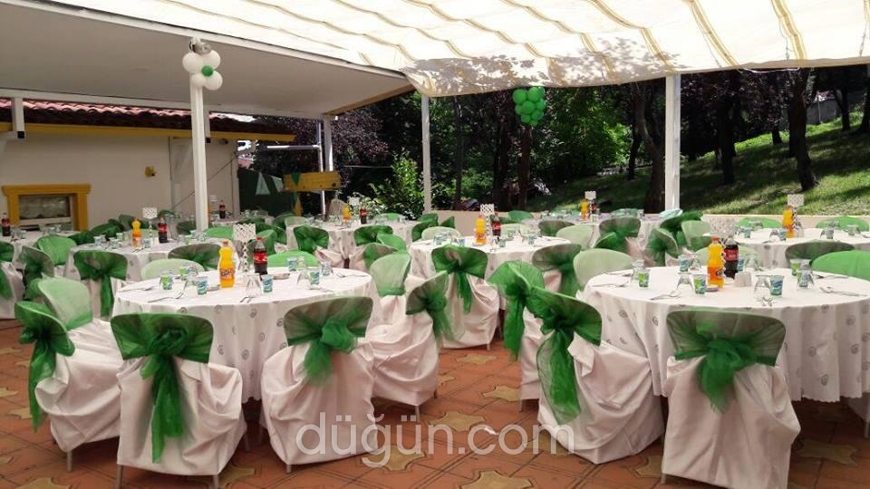 Temenyeri Kır Mekanı