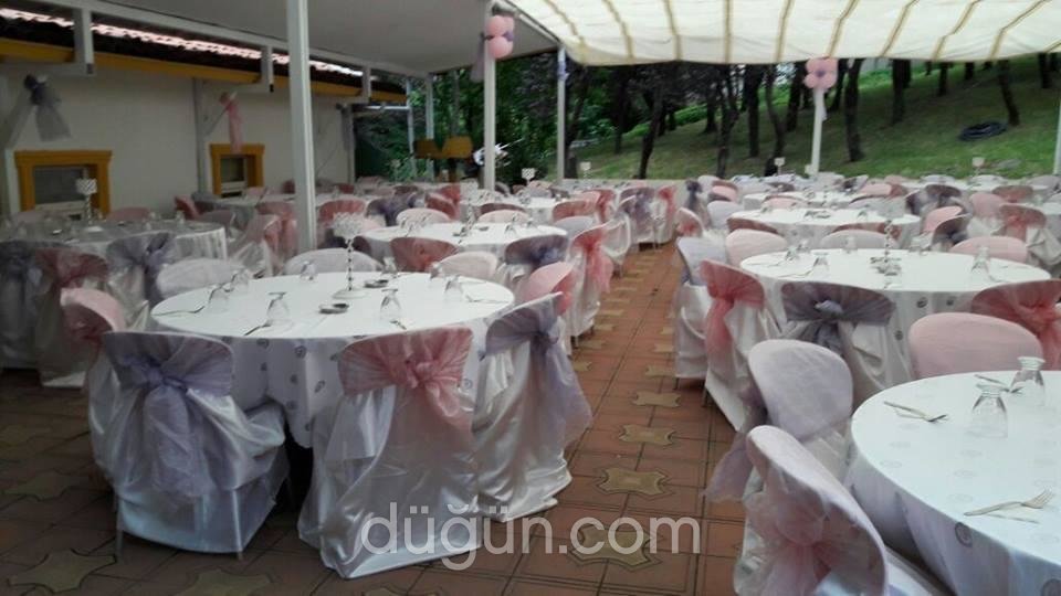 Temenyeri Kır Mekanı