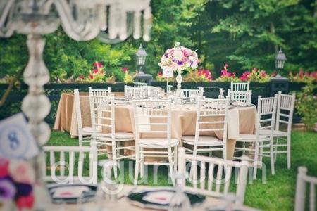 Villa Polonez Düğün Mekanı Tiffany Sandalye