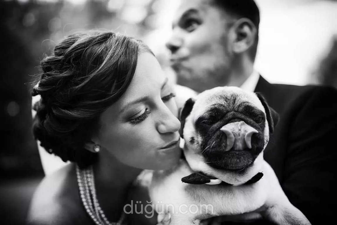 Düğün Yemeği Görünce Ben!