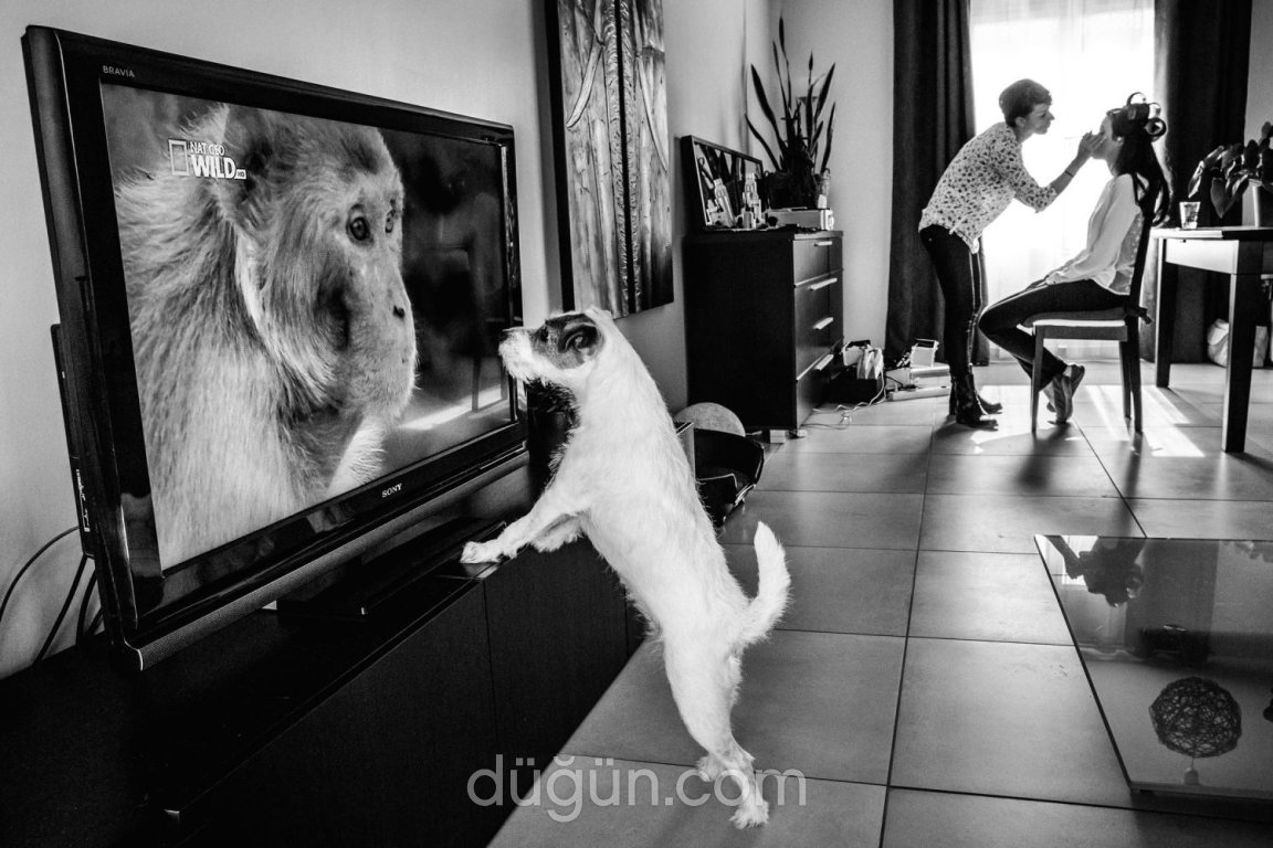 Hazırlık Aşamasında Büyük Destek