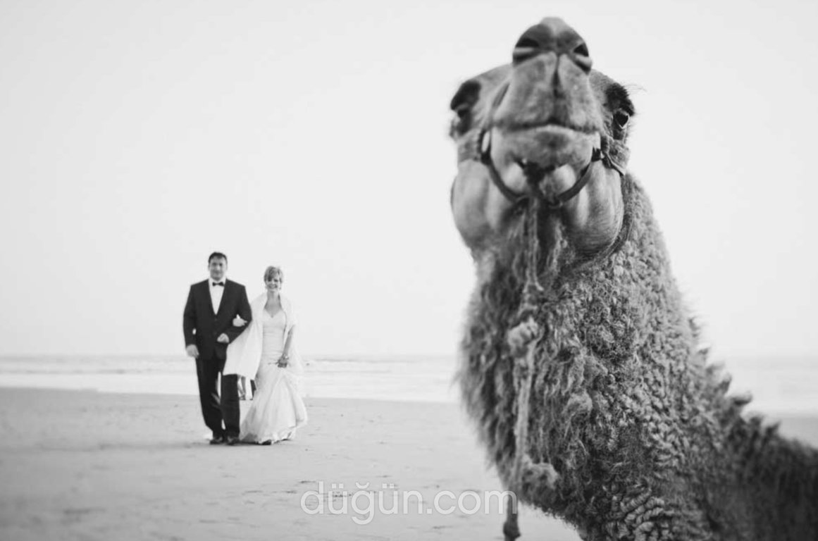 Kadraja Giren Deve ile Düğün Pozu
