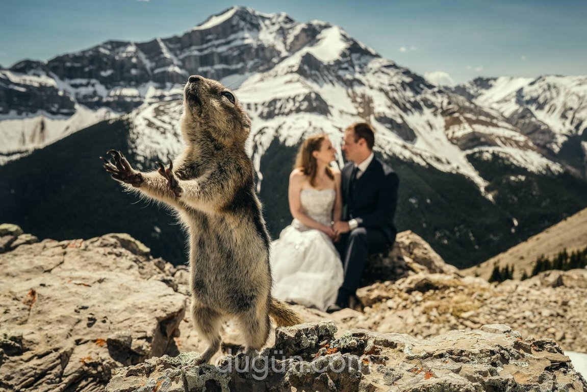 "Siz Poz Verin, Ben Bakmıyorum"