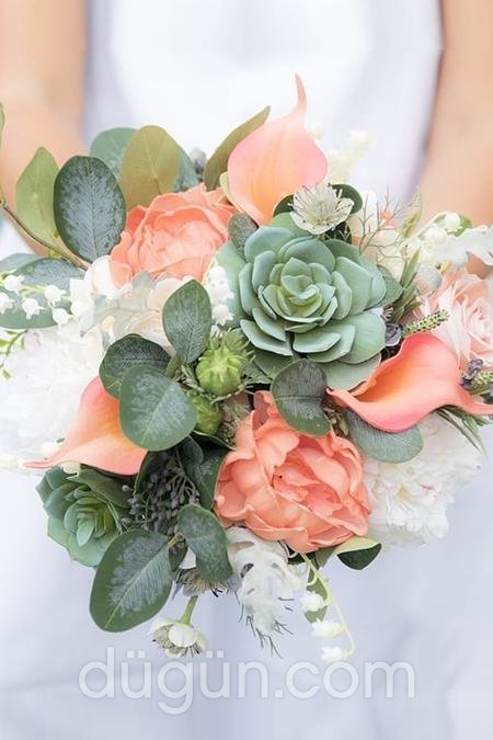 Sukulent Gelin Çiçeği