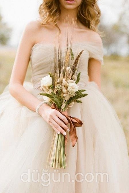 Sonbahar Çiçekleri