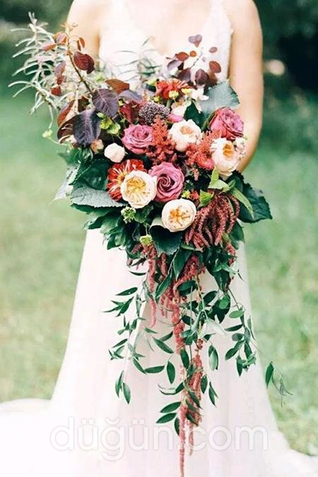 Rengarenk Gelin Çiçeği