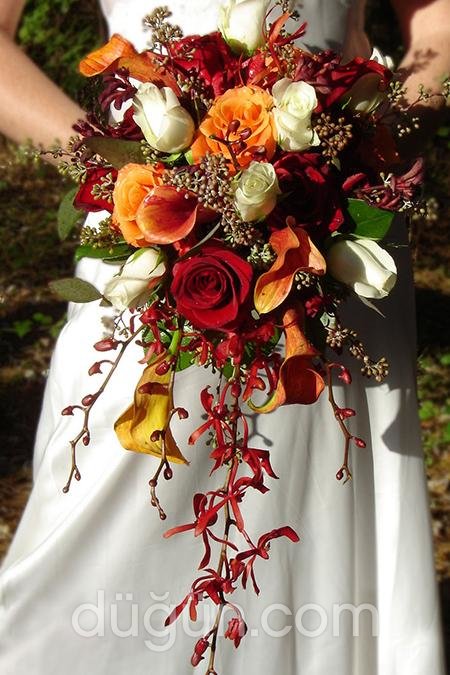 Renkli Gelin Çiçekleri