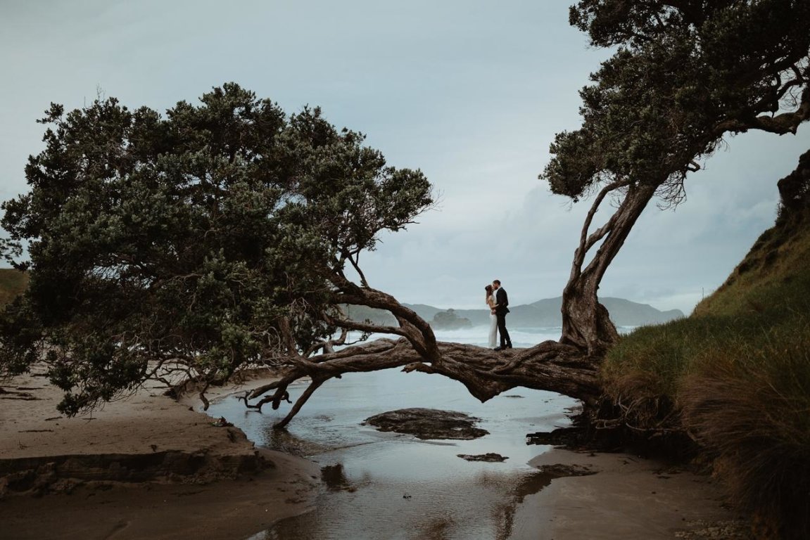 Northland / Yeni Zelanda