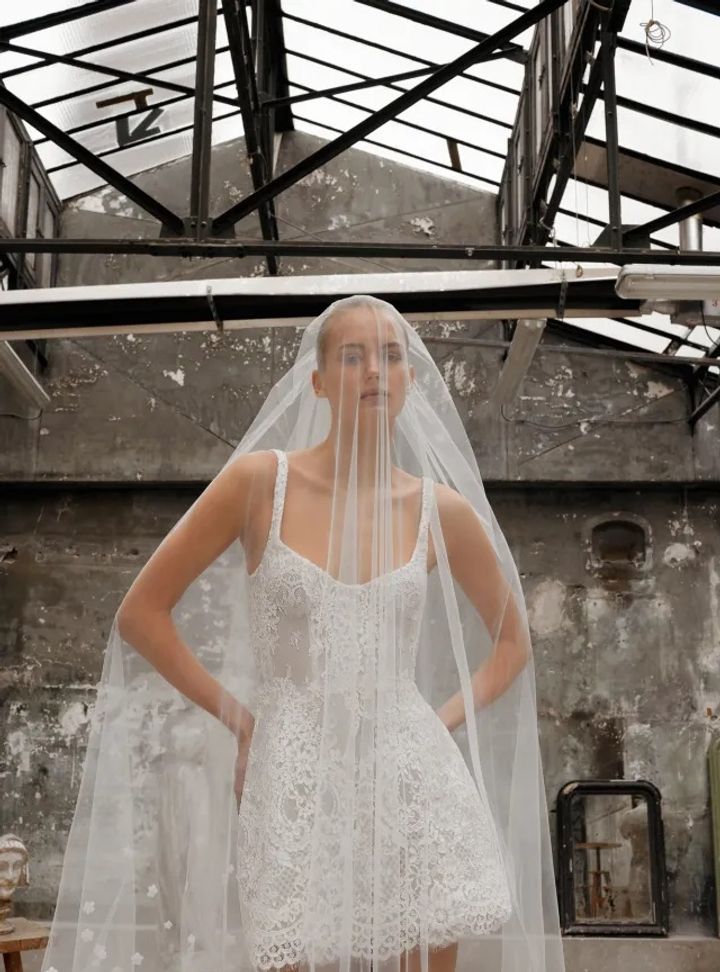 2025 Dana Harel -3-25