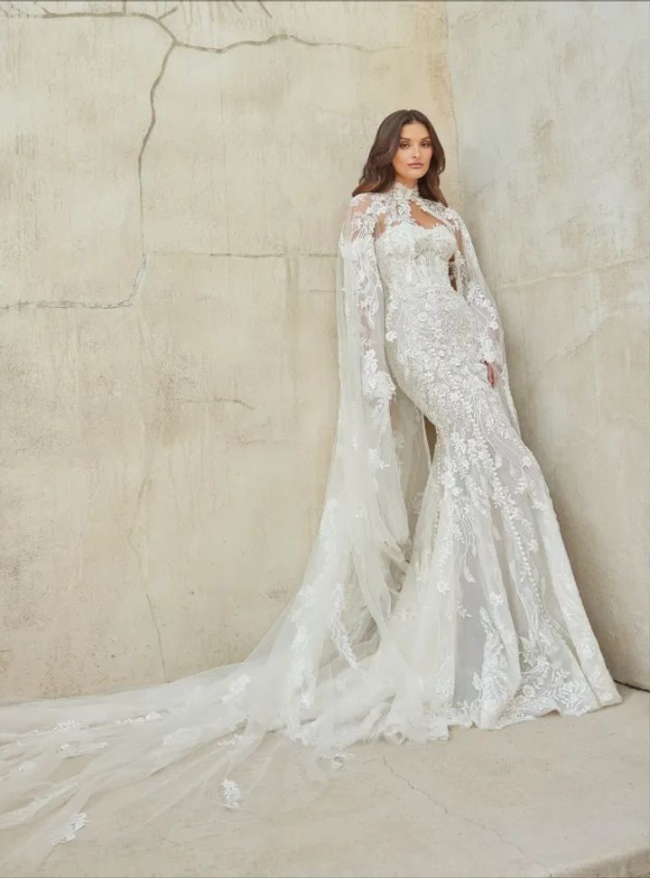 2025 Idan Cohen -7-25